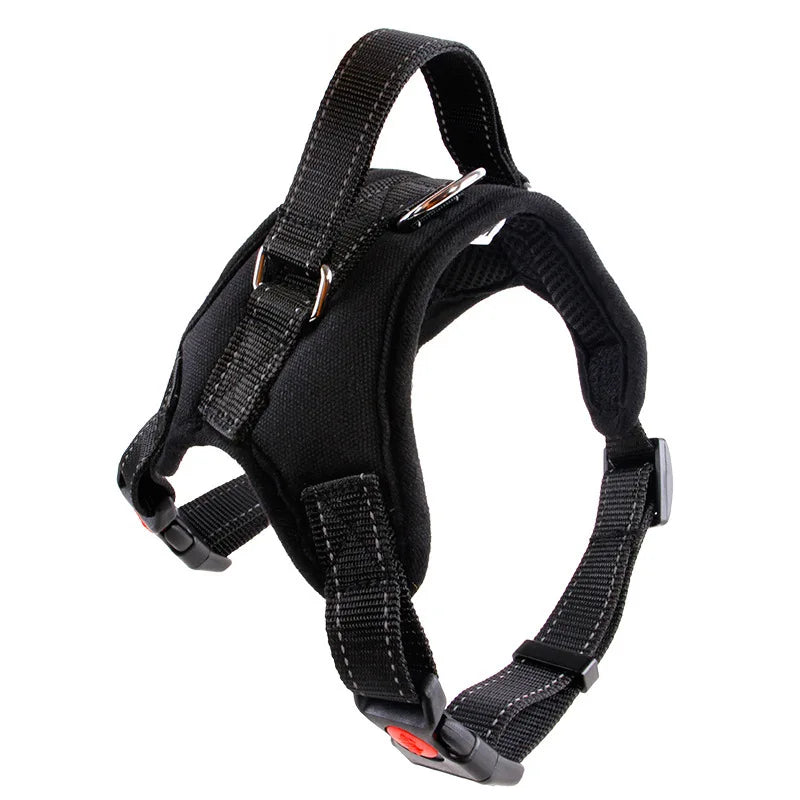 Small to Large Dog Harness