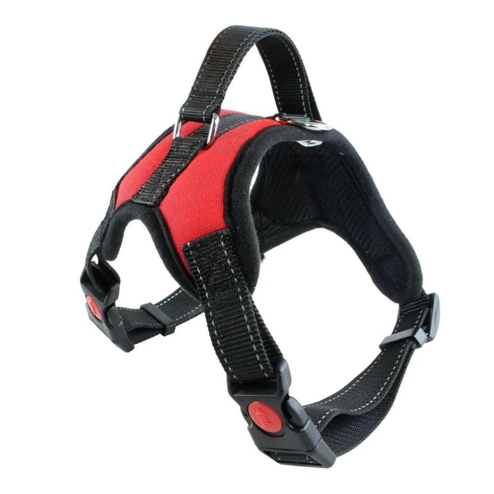 Small to Large Dog Harness
