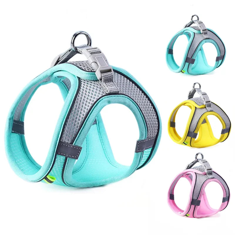 Cat/Dog Harness