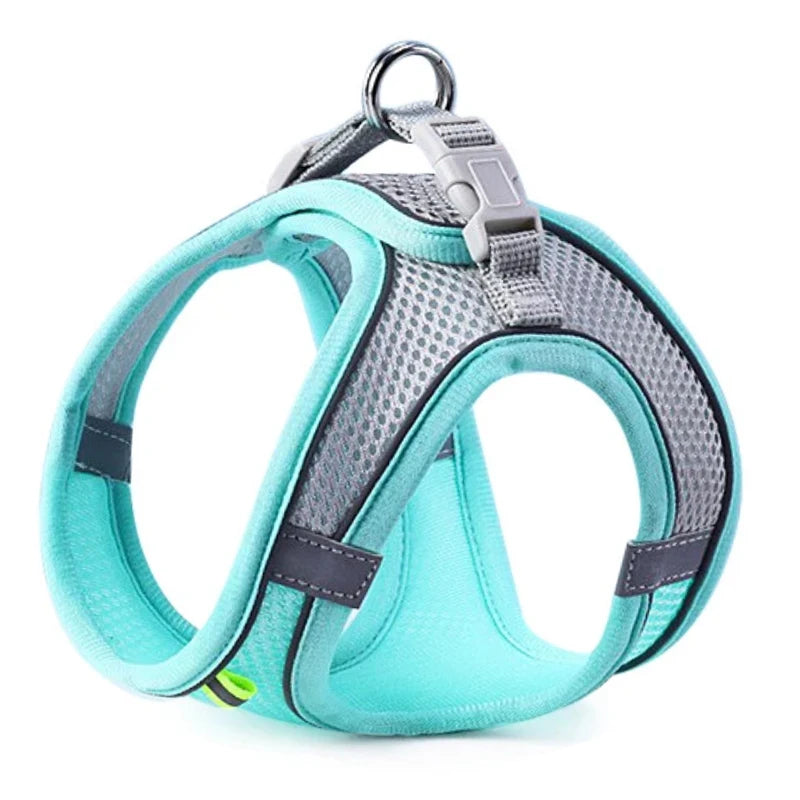 Cat/Dog Harness
