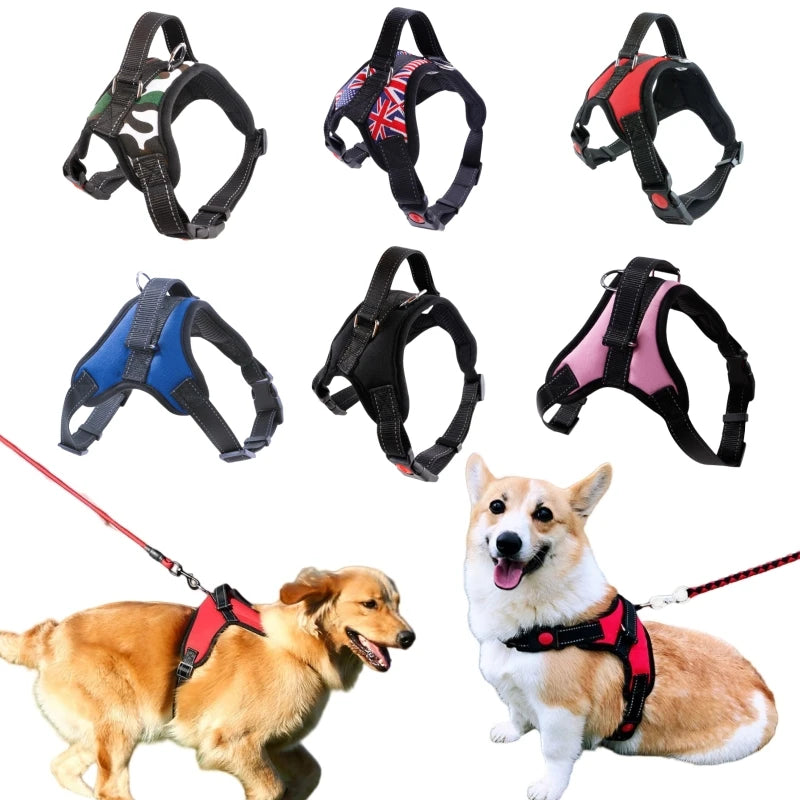 Small to Large Dog Harness