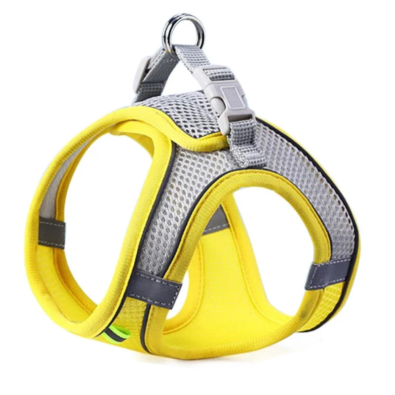 Cat/Dog Harness