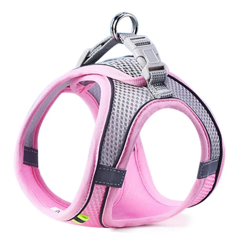Cat/Dog Harness