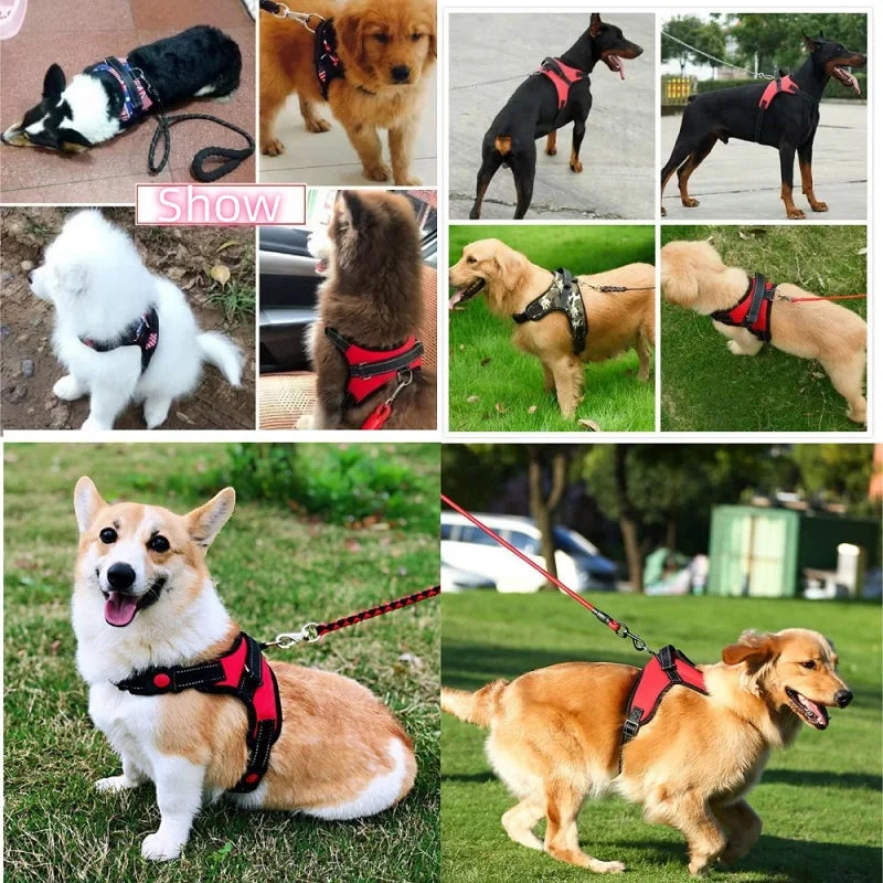 Small to Large Dog Harness