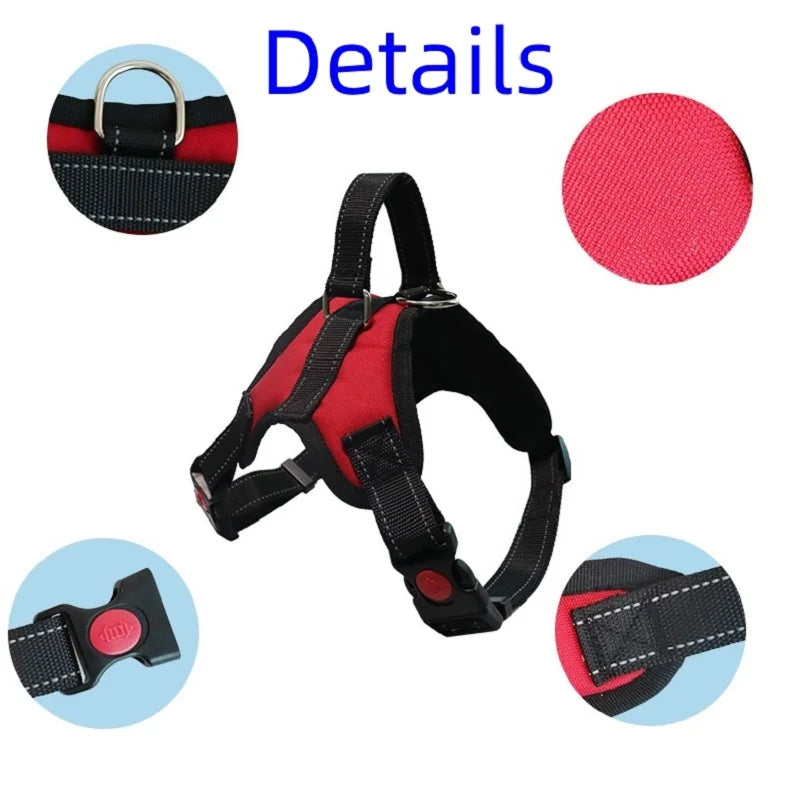 Small to Large Dog Harness