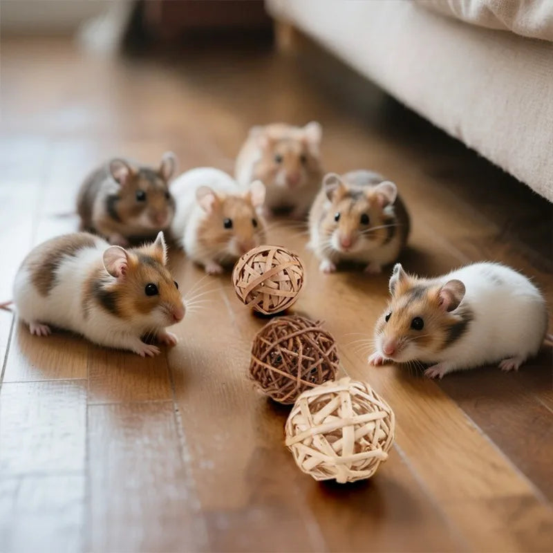 Natural Woven Grass & Vine Chew Toys for Birds, Hamsters, Rabbits