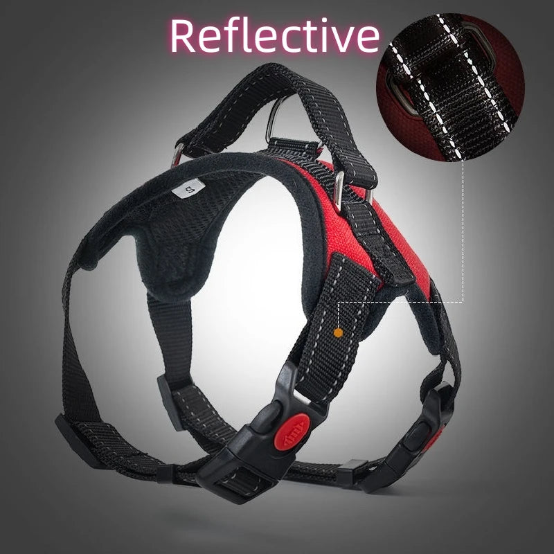 Small to Large Dog Harness
