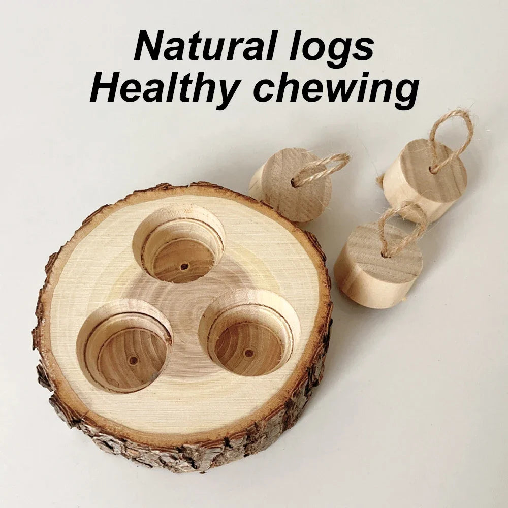 Hidden food, foraging play for birds, hamsters, guinea pigs, rabbits etc