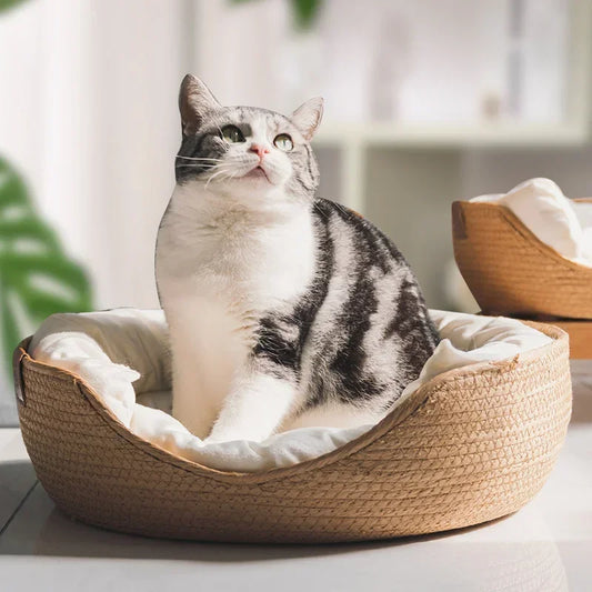 Bamboo woven pet bed