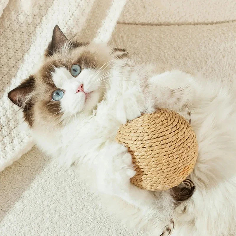 Interactive Sisal Cat Scratching Ball (10cm)